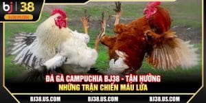 Đá gà Campuchia