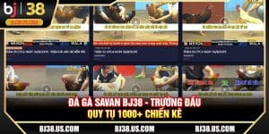 Đá gà Savan