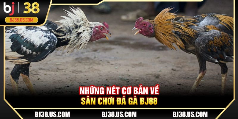 Những nét cơ bản về sân chơi đá gà BJ88